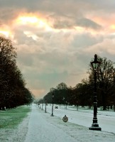 Phoenix park main drive2